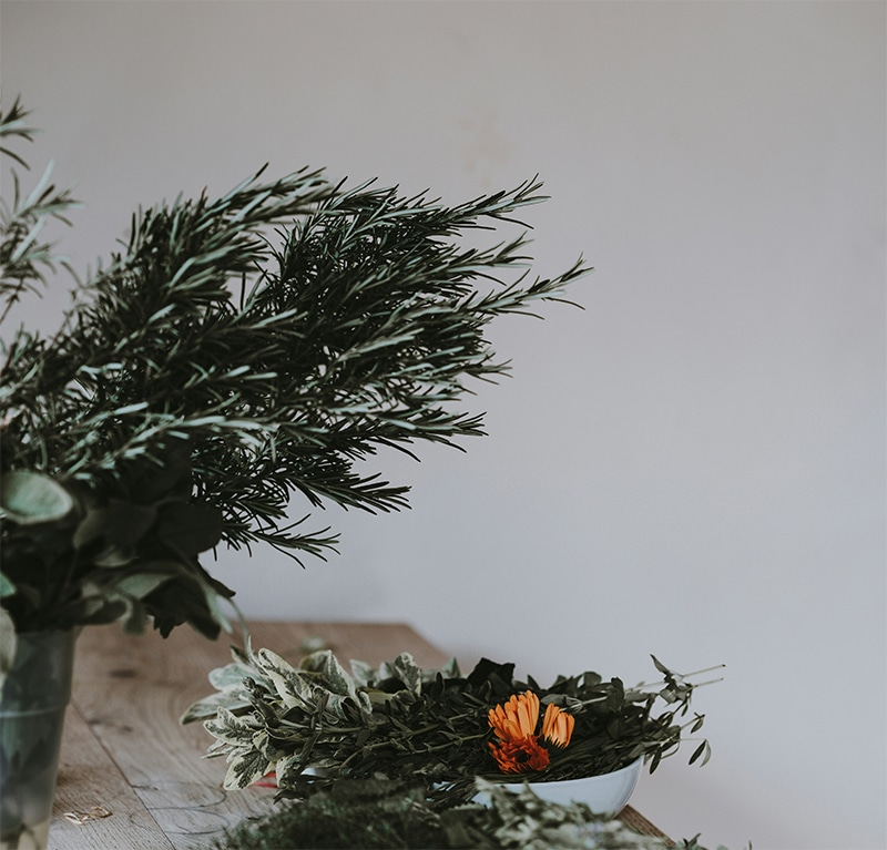 Plantas para la decoración sensorial: Romero