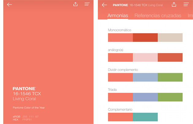 Paleta de colores creada con la aplicación Pantone Connect - Pantone Studio