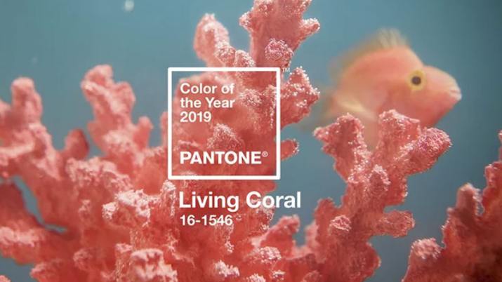 Color Pantone del Año 2019 Living Coral