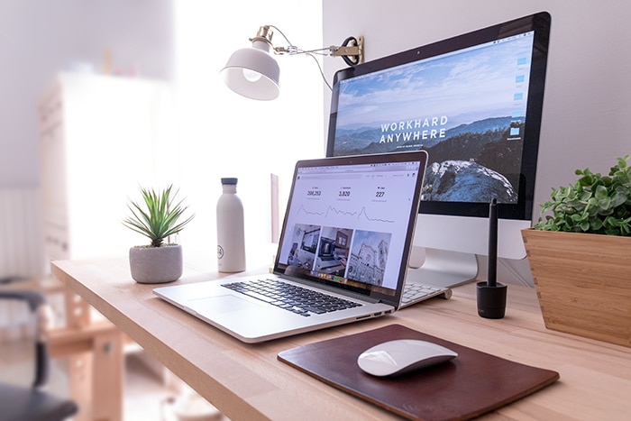 Las plantas mejoran la productividad y concentración. Ideal para zonas de trabajo.