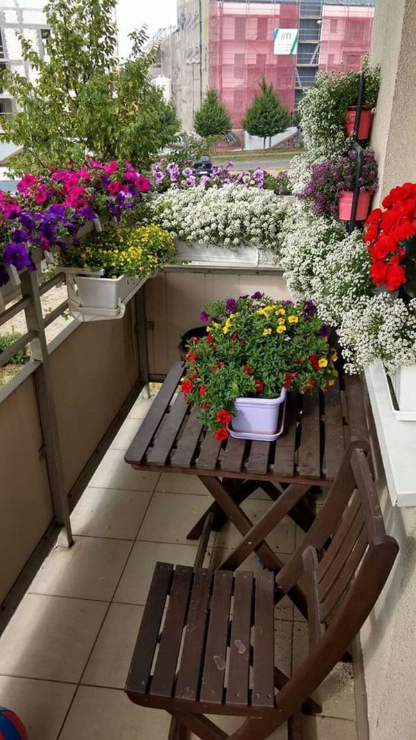 Terraza decorada con plantas y flores