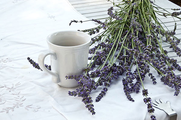 Un ramo de lavanda